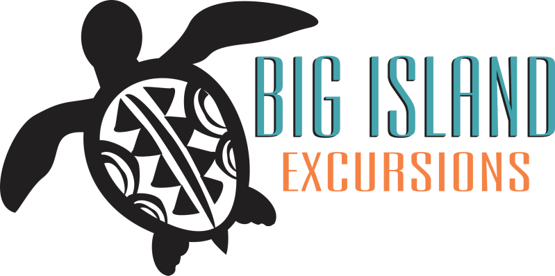 a close up of a logo