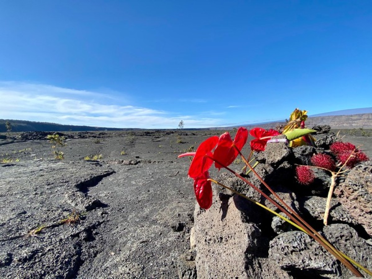 a person standing on a rocky beach