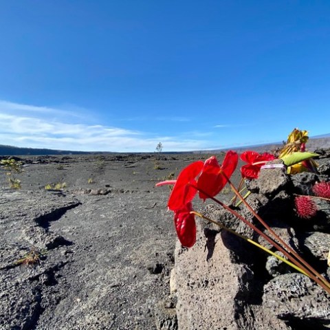 a person standing on a rocky beach