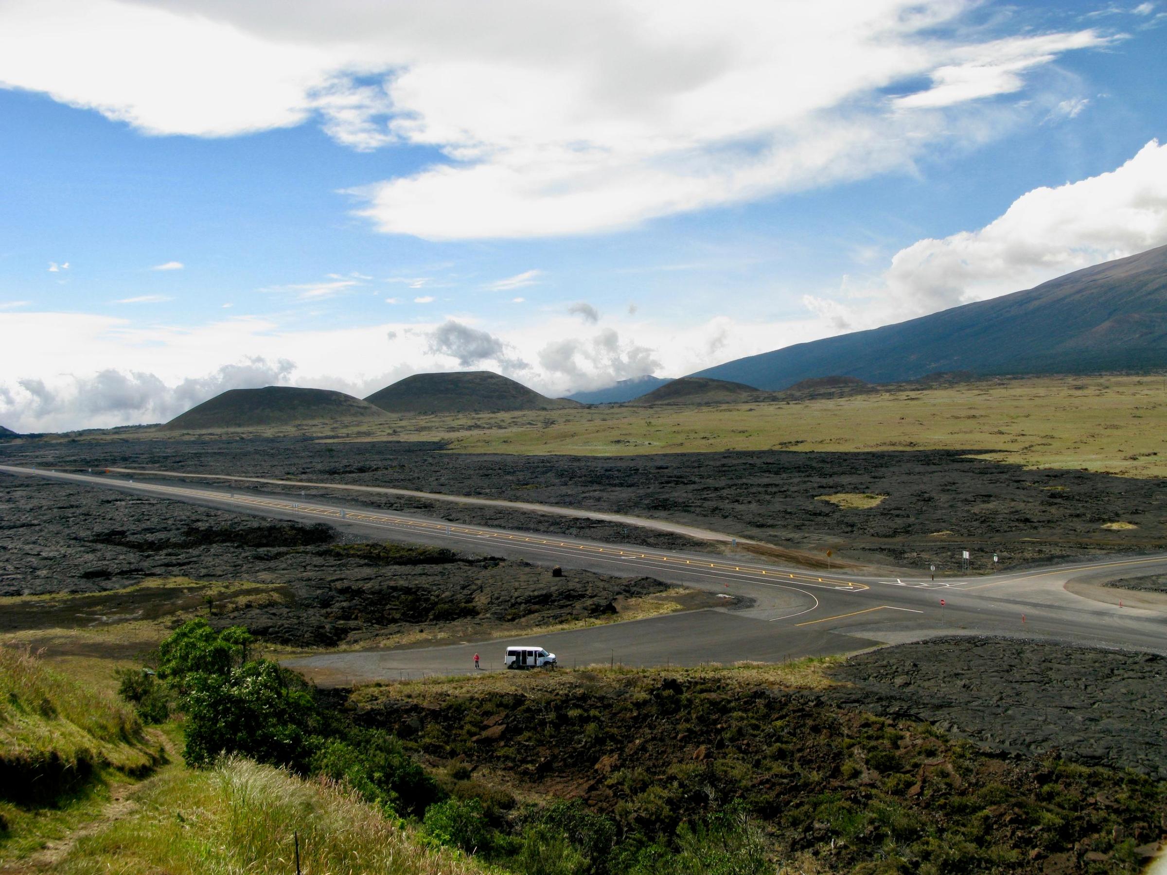 a close up of a grassy hill