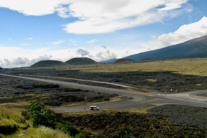 a close up of a grassy hill