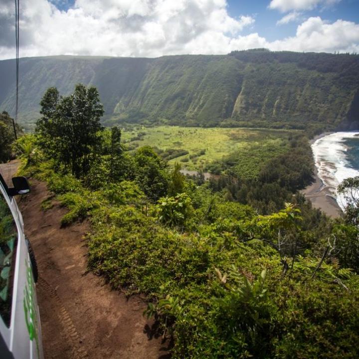 a path with trees on the side of a mountain